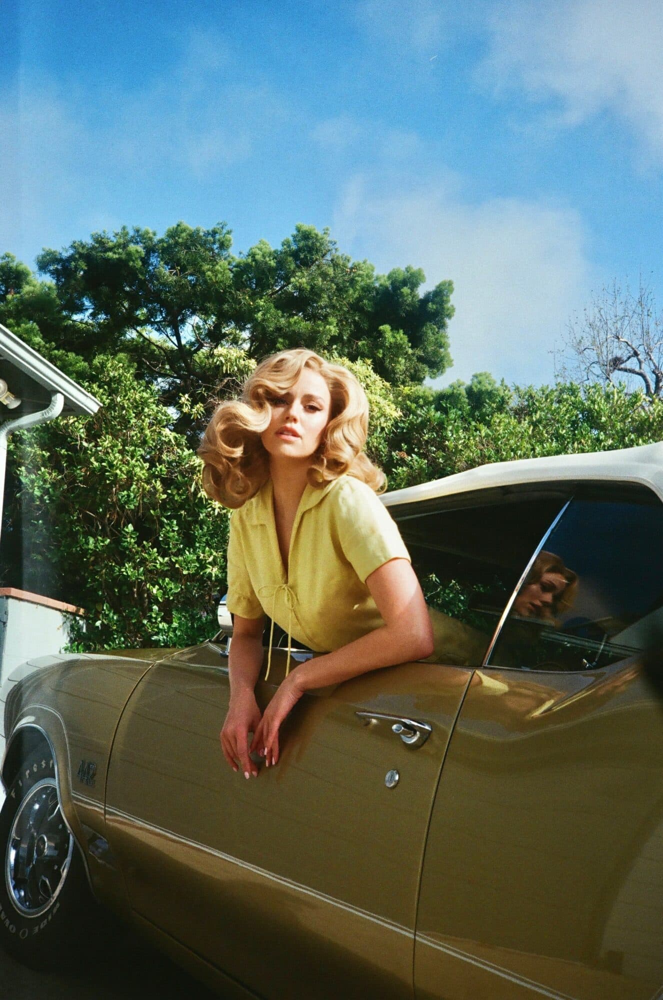 Effy Harvard